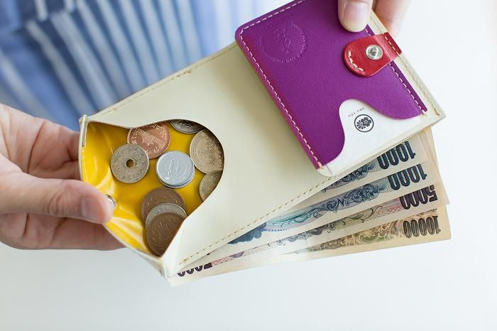 SOU・SOU×QUATRO GATS 手掌錢包 / SO-SU-U十數 彩色