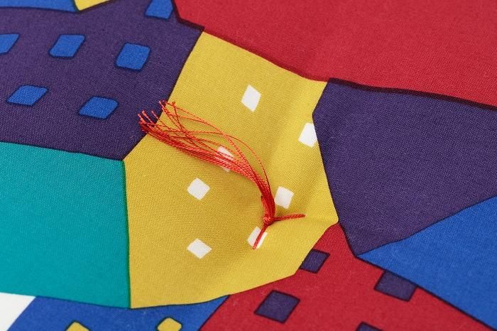 SOU・SOUの京座布団(21番手平織)/北の国 多彩(たさい)【※お届けに約3週間】