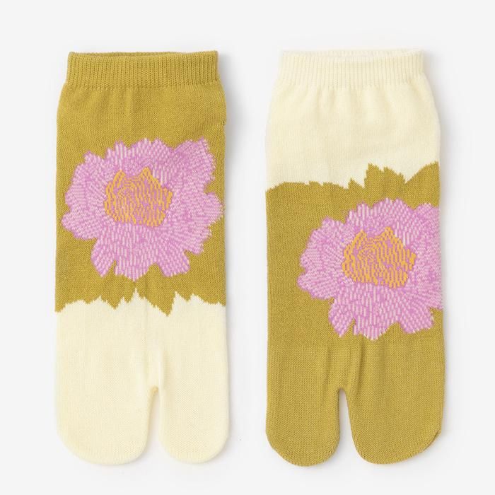 在塔比(Acro长度) /牡丹(男女)下