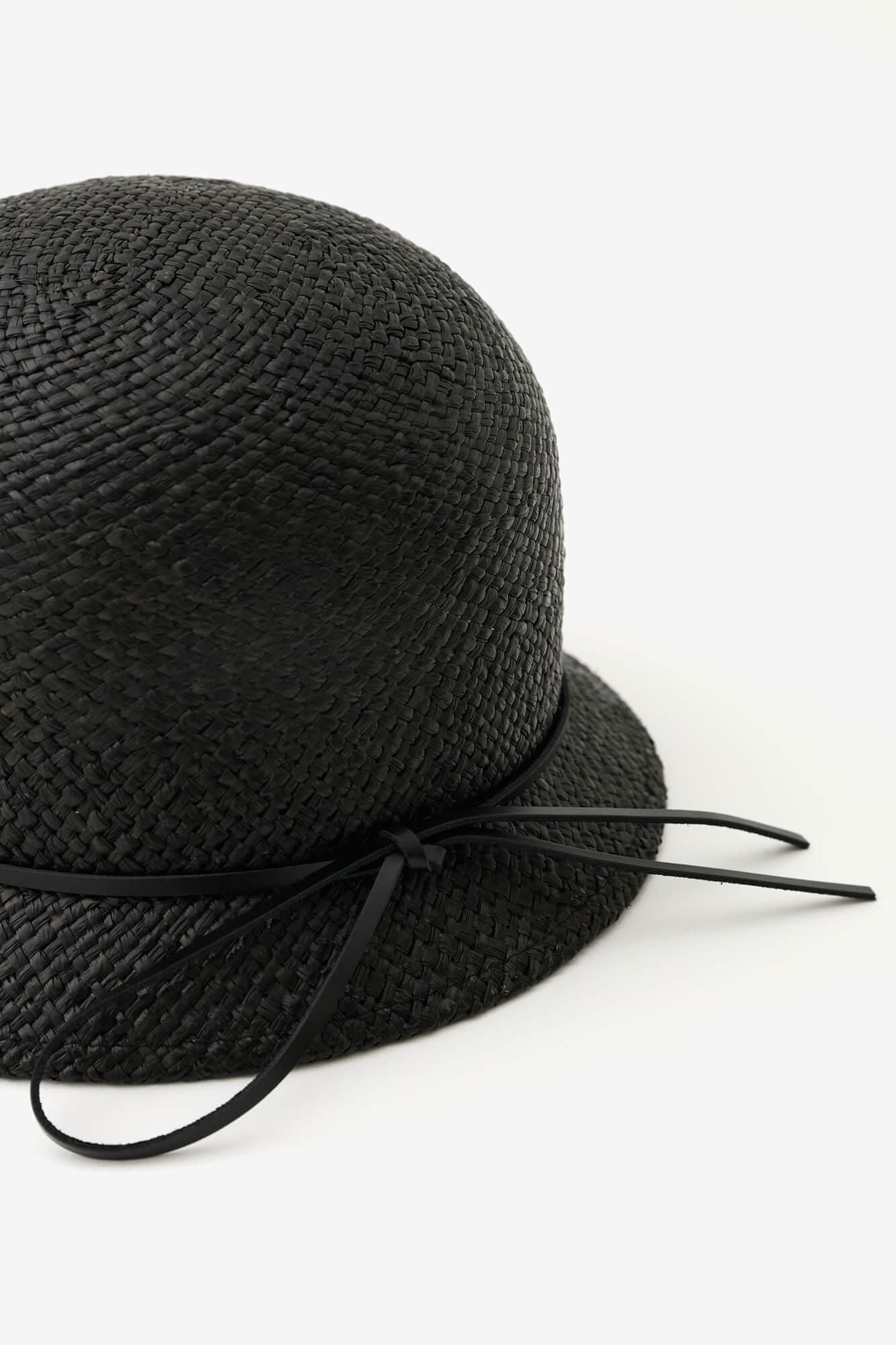 棕榈/木羽毛色(季节)