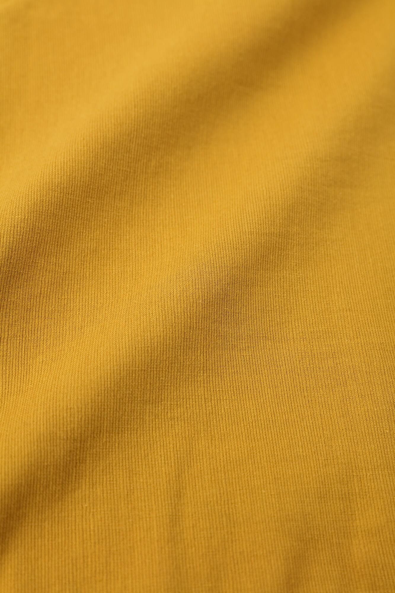 takashima chiku 40/40脱衣服的衣领吉班/金色