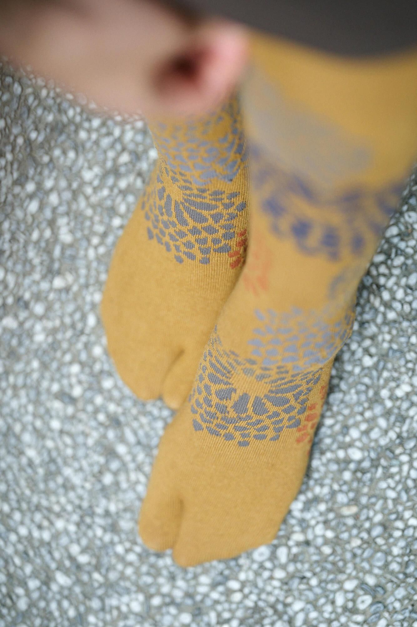 스타킹 타비/국화 겨자색