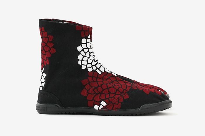 云之间的5条圆形的塔布袜/菊花