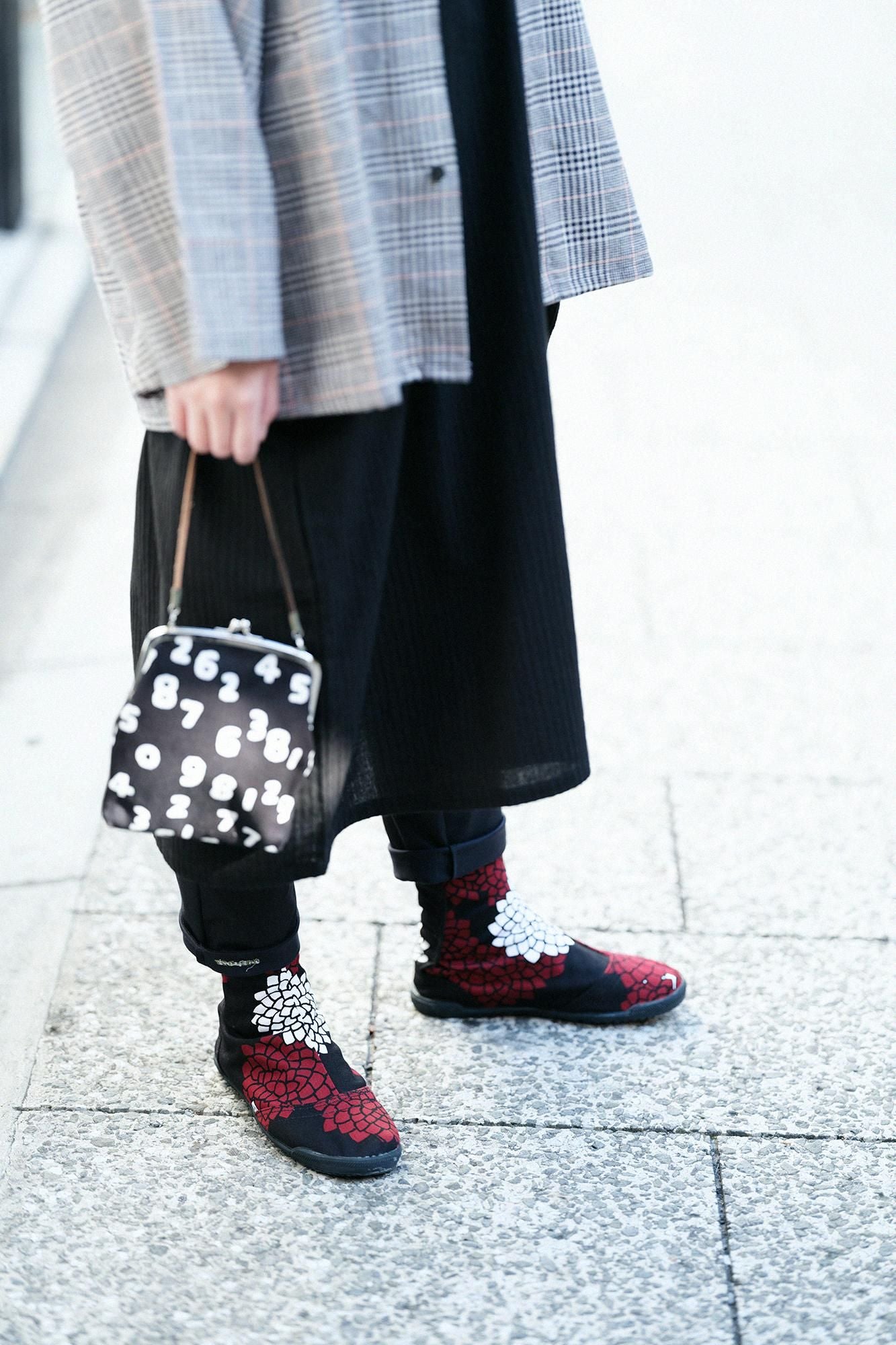 云之间的5条圆形的塔布袜/菊花