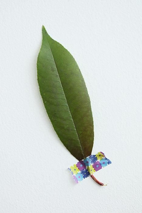 【net限定】テキスタイル・マステ/おおらかとりどり【1.5cm幅】