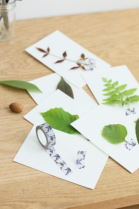 【net限定】テキスタイル・マステ/南天竹【1.5cm幅】