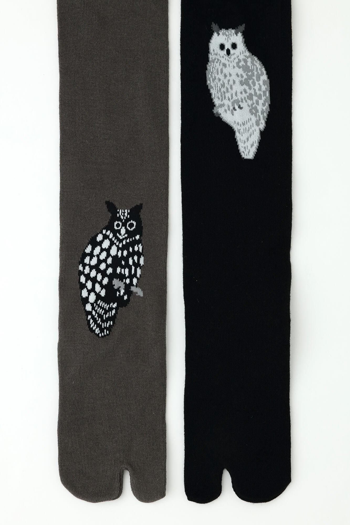 Tabi Tights/Owl