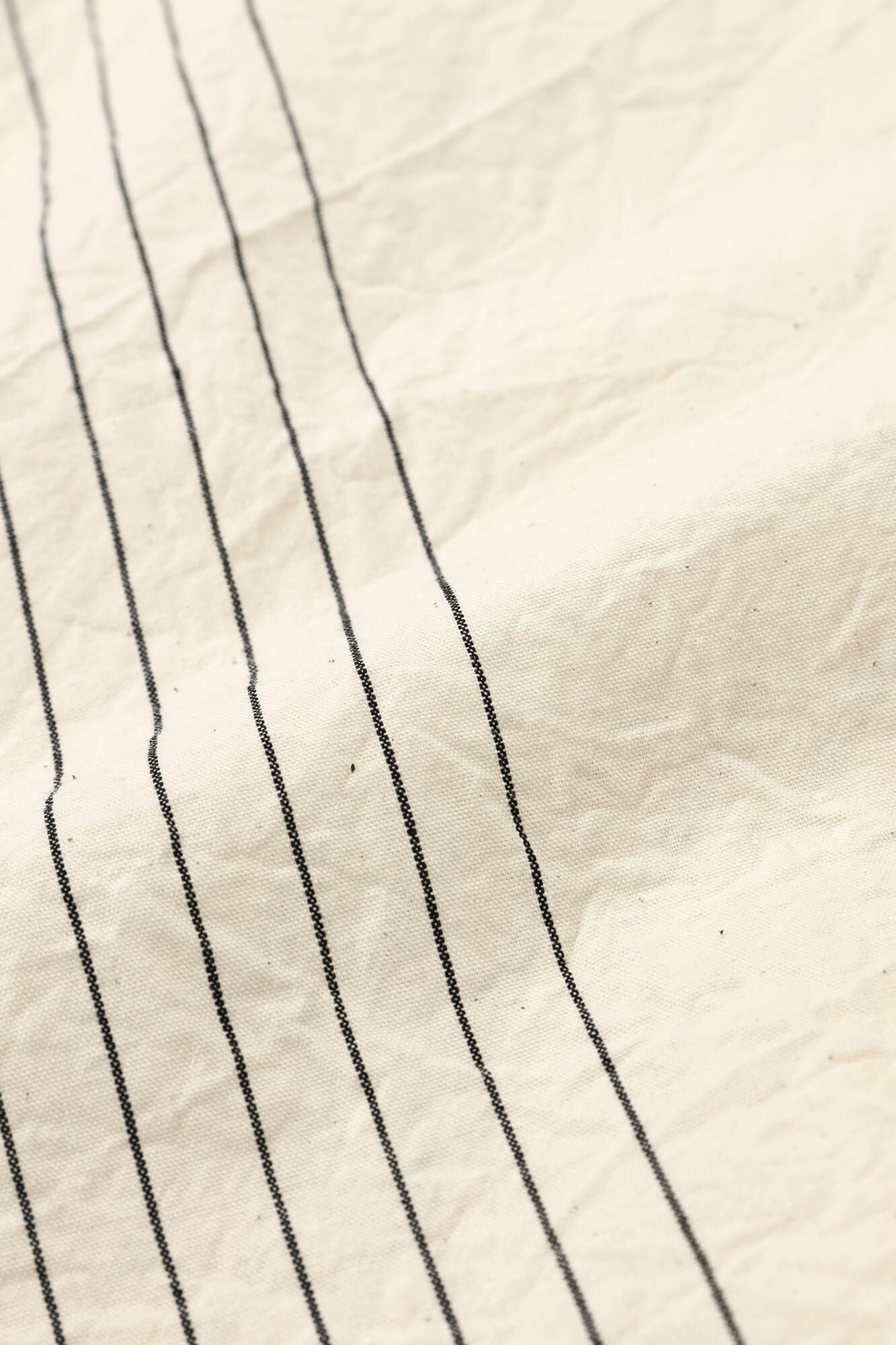 Isemomen Cotton 20/20 Fuji Pants 2.0/ Half Striped Raw White