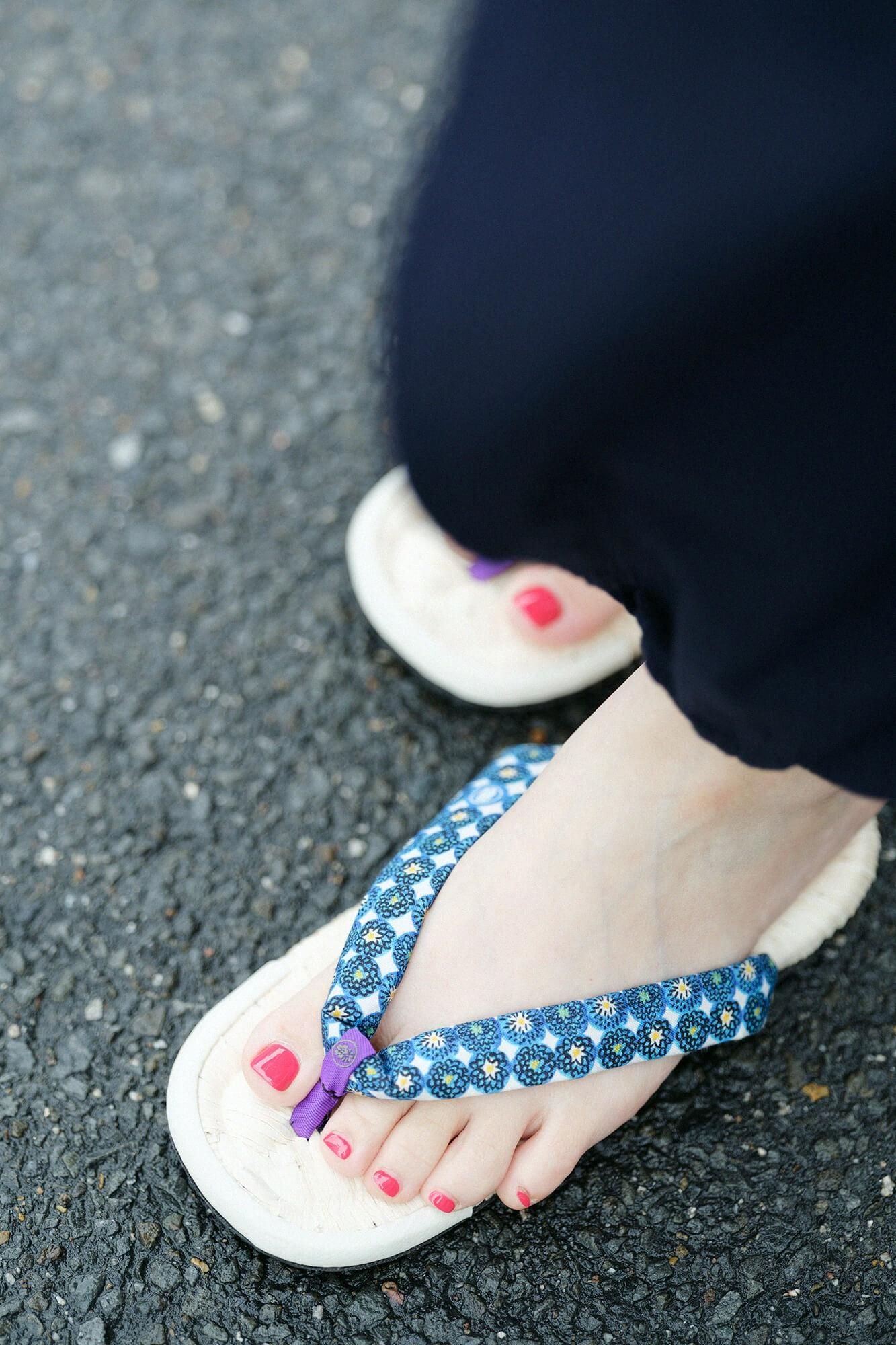 Zori Asabura 茶竹/康菊