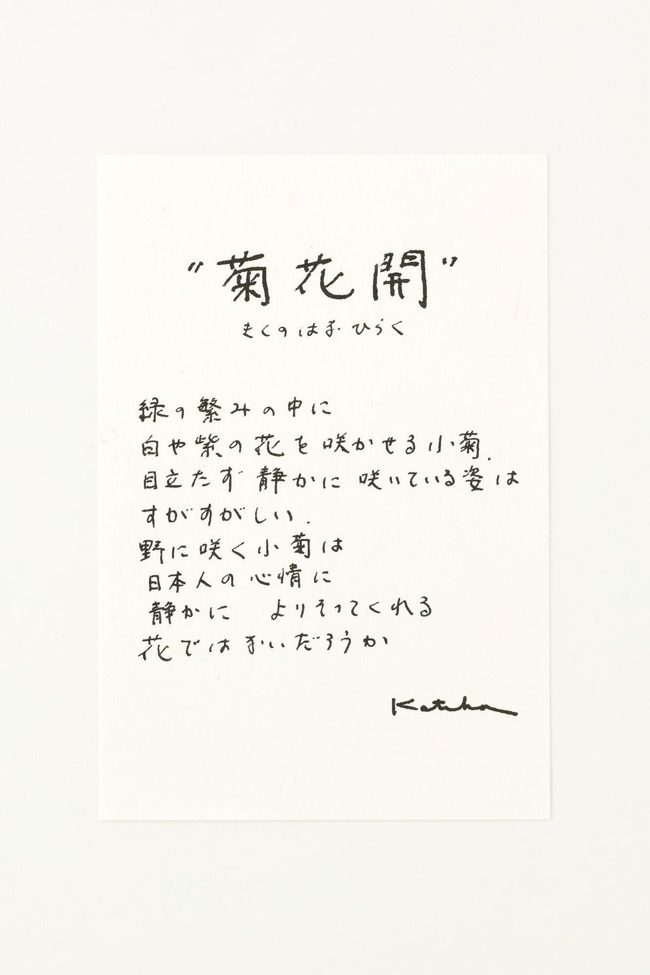 伊勢木棉圖案紋樣手巾/菊花開