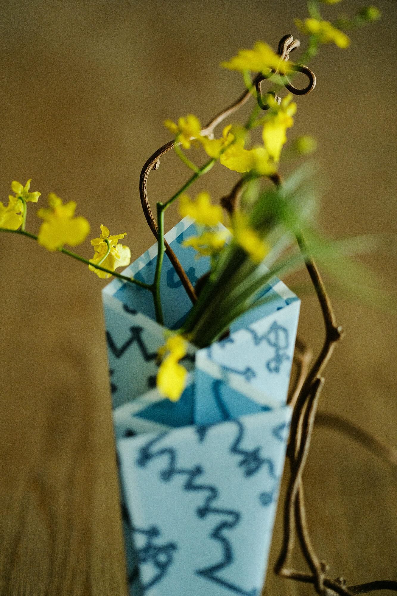 由京都哈纳博研究协会监督 SOU・SOUHanatsumi/fumi