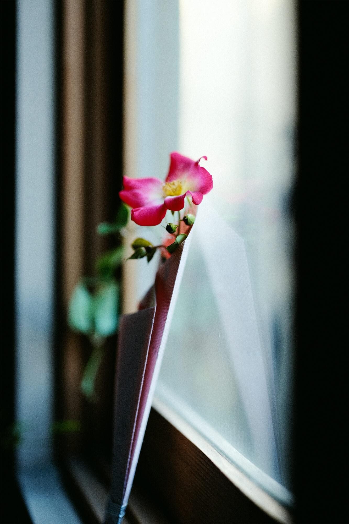 京都華包研究會監修SOU・SOU華包/點線