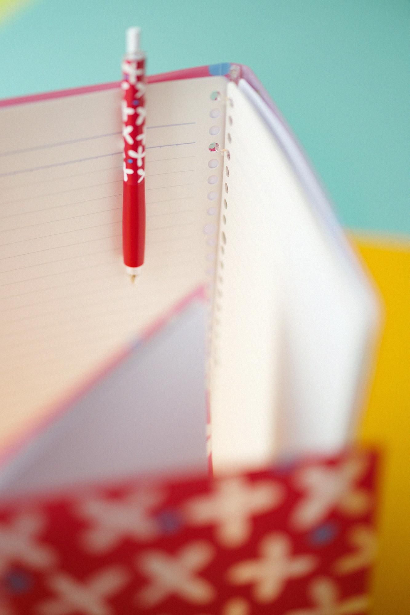 SOU・SOU× Kokuyo 바인더 2x2 링 A5/스즈시로 풀