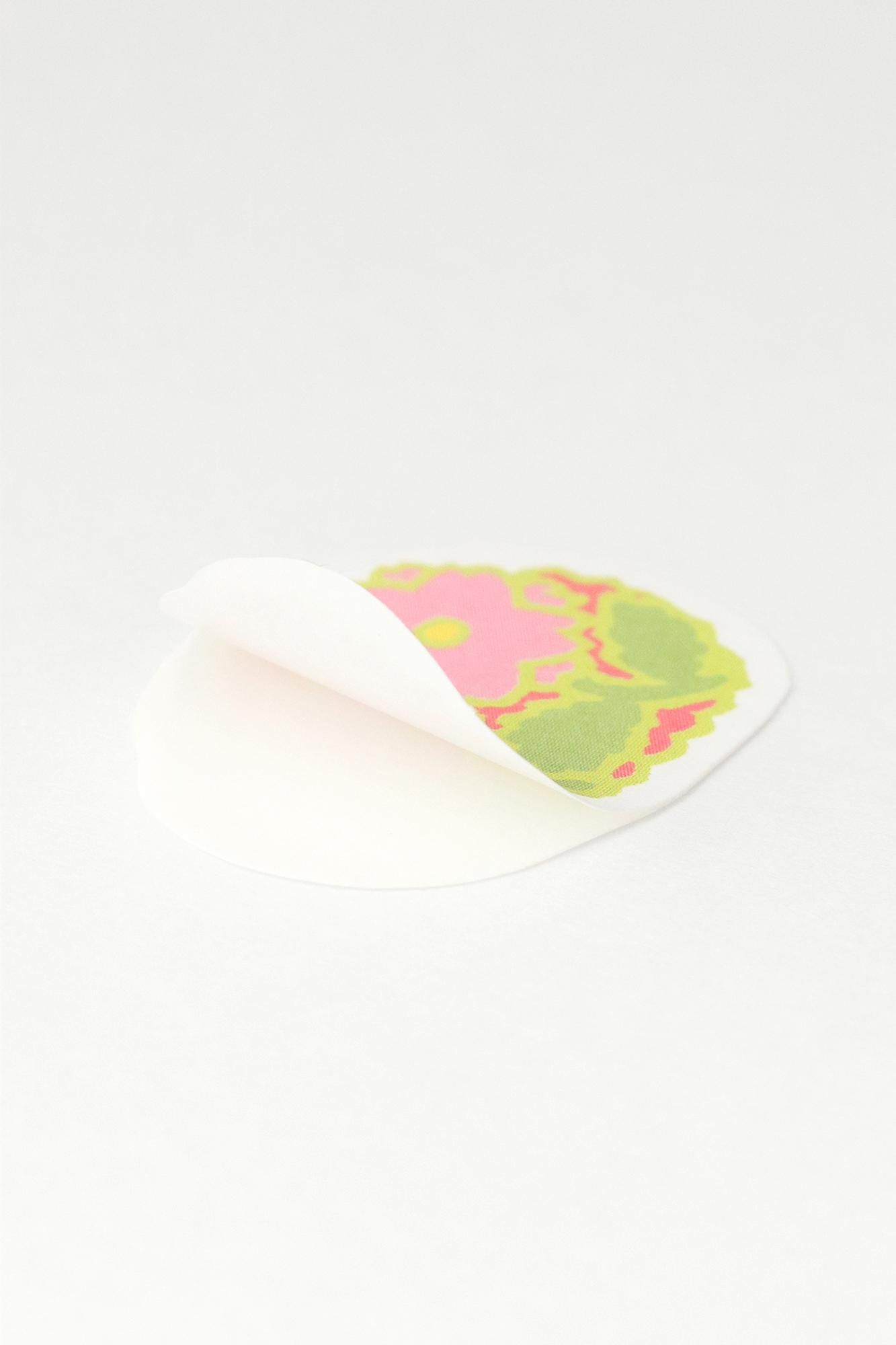 SOU・SOU × PHP Institute Flake Stickers / Wagashi