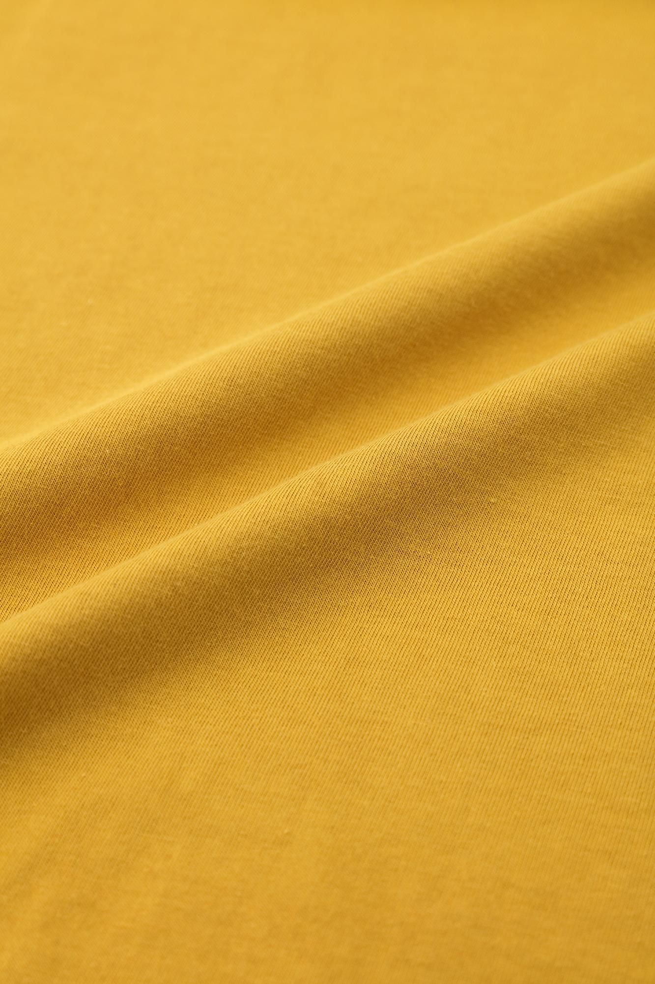 Tei Jiban/蘑菇颜色