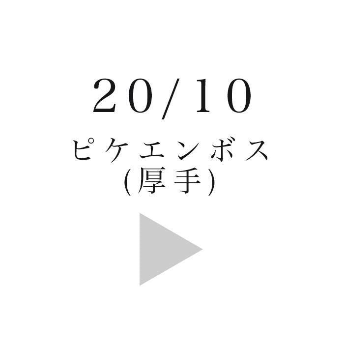 INDEX_2010_PIKE ENCOSION