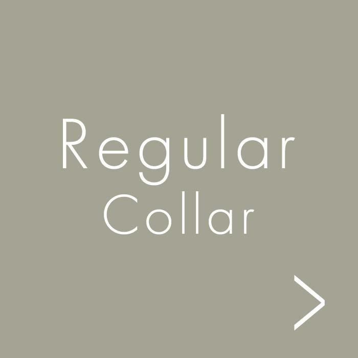 index_regular_collar