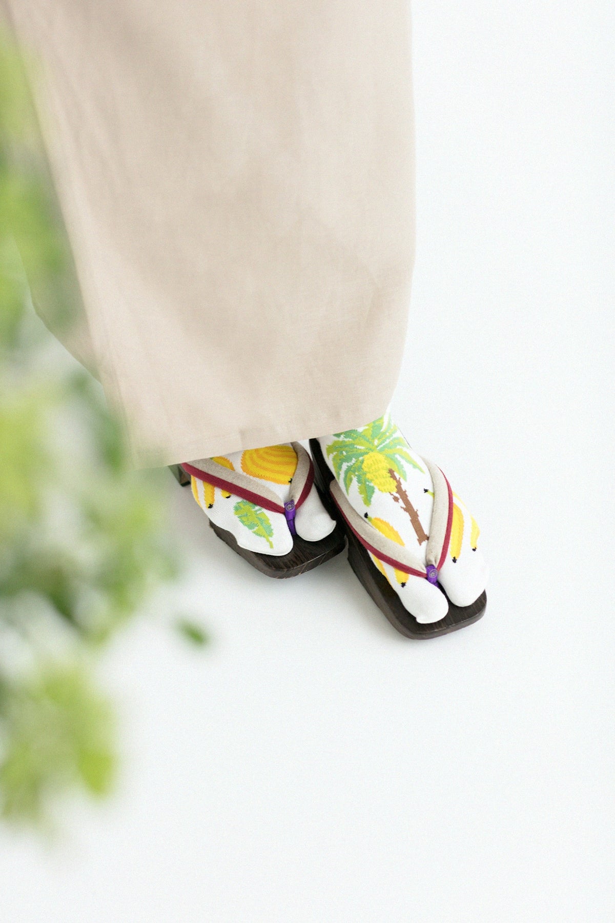 Tabi Socks(Low-cut)/Banana【Men・Women】