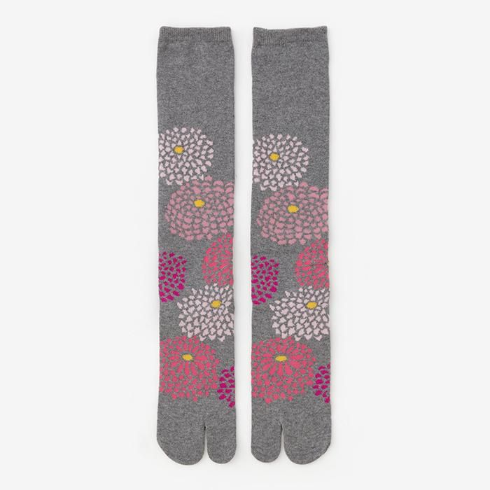 在Tabi下(膝盖下方) /菊花色的鼠标颜色(女性)