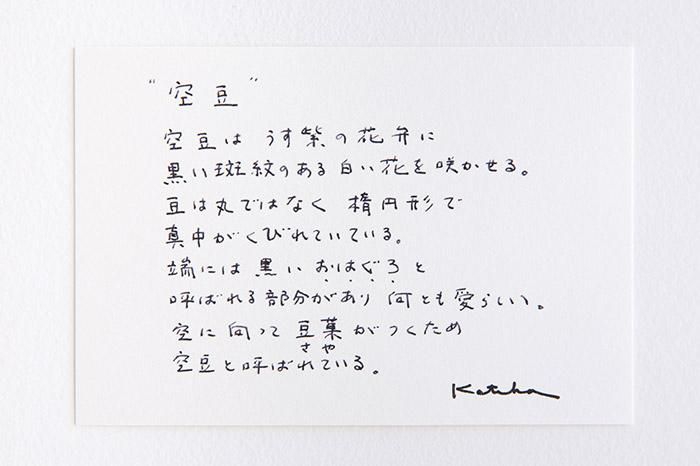 Isemomen Cotton Textile Handkerchief / Broad Bean