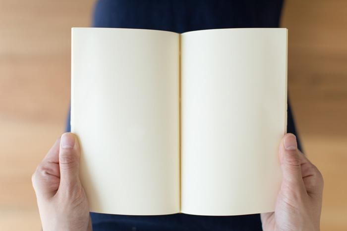 구름과 새와 짐승 goshuin 책