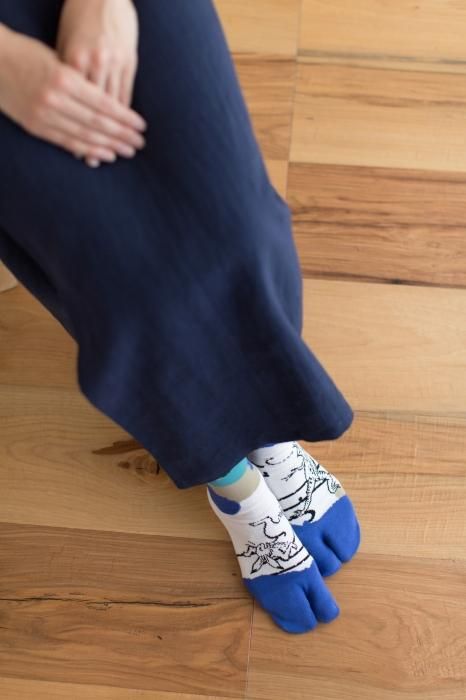 Tabi Socks (Mid-calf)/Choju-giga Between Clouds【Men・Women】