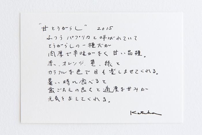 ISE棉花纺织品/甜胡椒粉