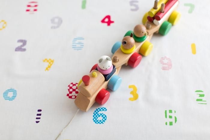 布料剪裁販售 (21號平織棉)/SOU・SOUMomoyama,京都<50cm>