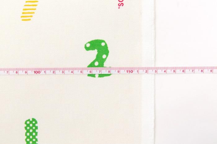 布料剪裁販售 (8號帆布)/SOU・SOUMomoyama,京都<50cm>