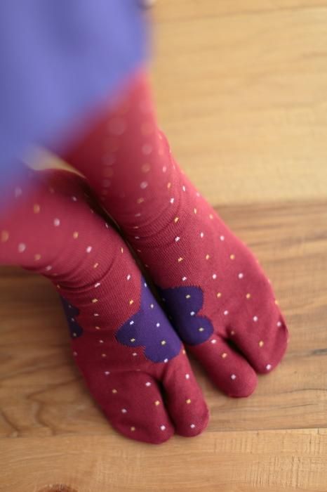 Tabi Socks(Under Knee)/Risshun Nandina【Women】