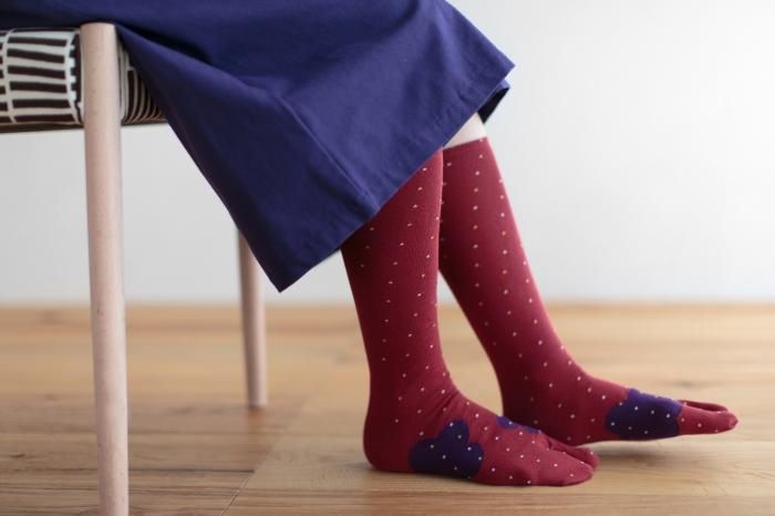 Tabi Socks(Under Knee)/Risshun Nandina【Women】