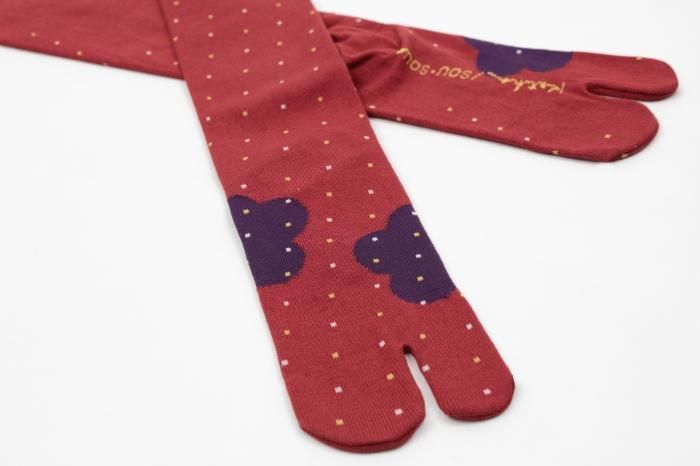 Tabi Socks(Under Knee)/Risshun Nandina【Women】