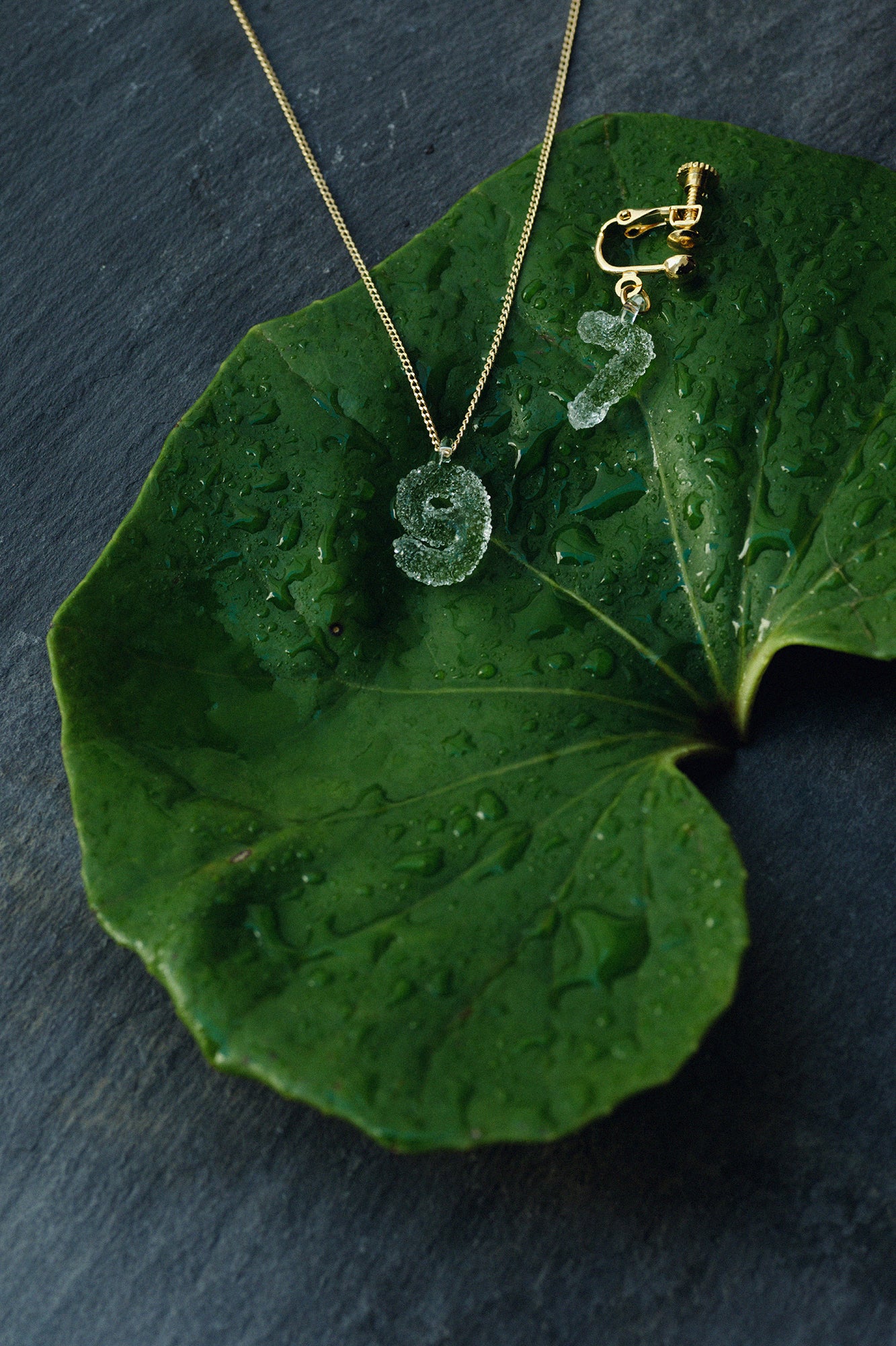 gama袋/so-su-u kon(kon)湿羽毛颜色(不锈钢)