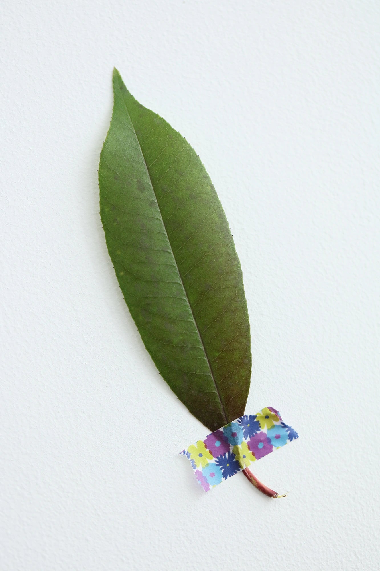 [Disponible uniquement sur le net] Mât textile/Facile et coloré [Largeur 1,5 cm]
