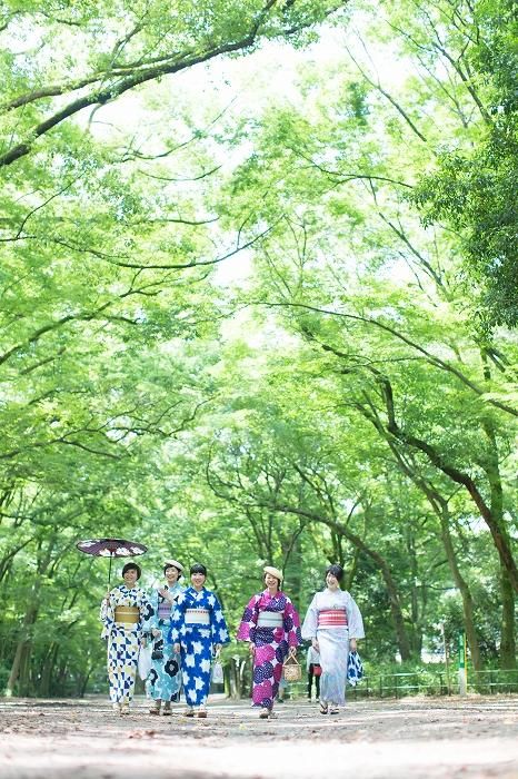 SOU・SOU×Kyoto Marubeni Yukata/Pivoine Tenjiku (Pivoine Tenjiku) Fleur violette (Shikombana)