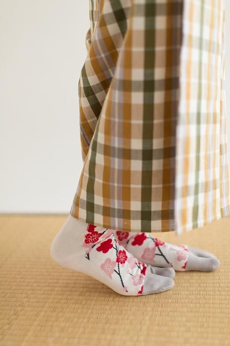 分趾襪（普通長度）／梅林報春鳥 【男・女性用】