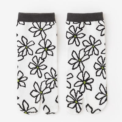 Tabi Socks（Low-cut）／Gardenia【Men・Women】