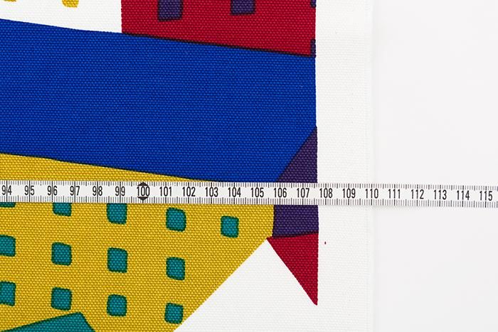 布料剪裁販售 （8號帆布）／北之國 品種（tasai）<50cm>