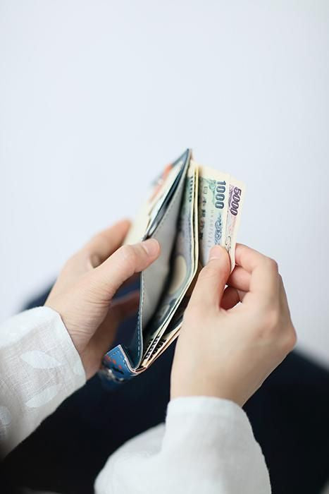 SOU・SOU×QUATRO GATS 手掌錢包/熱情