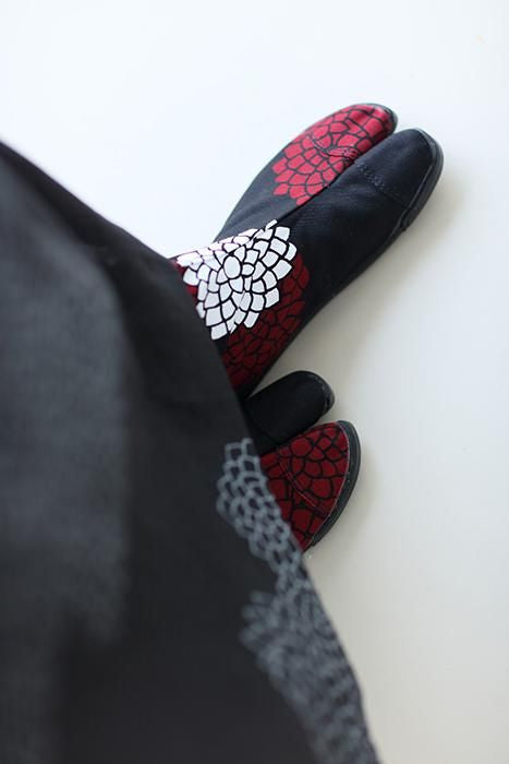 5 tabi tabi the云之间的crot/chrysanthemum