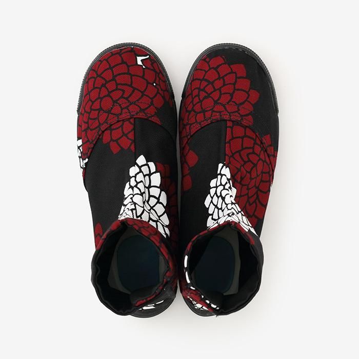 云之间的5条圆形的塔布袜/菊花