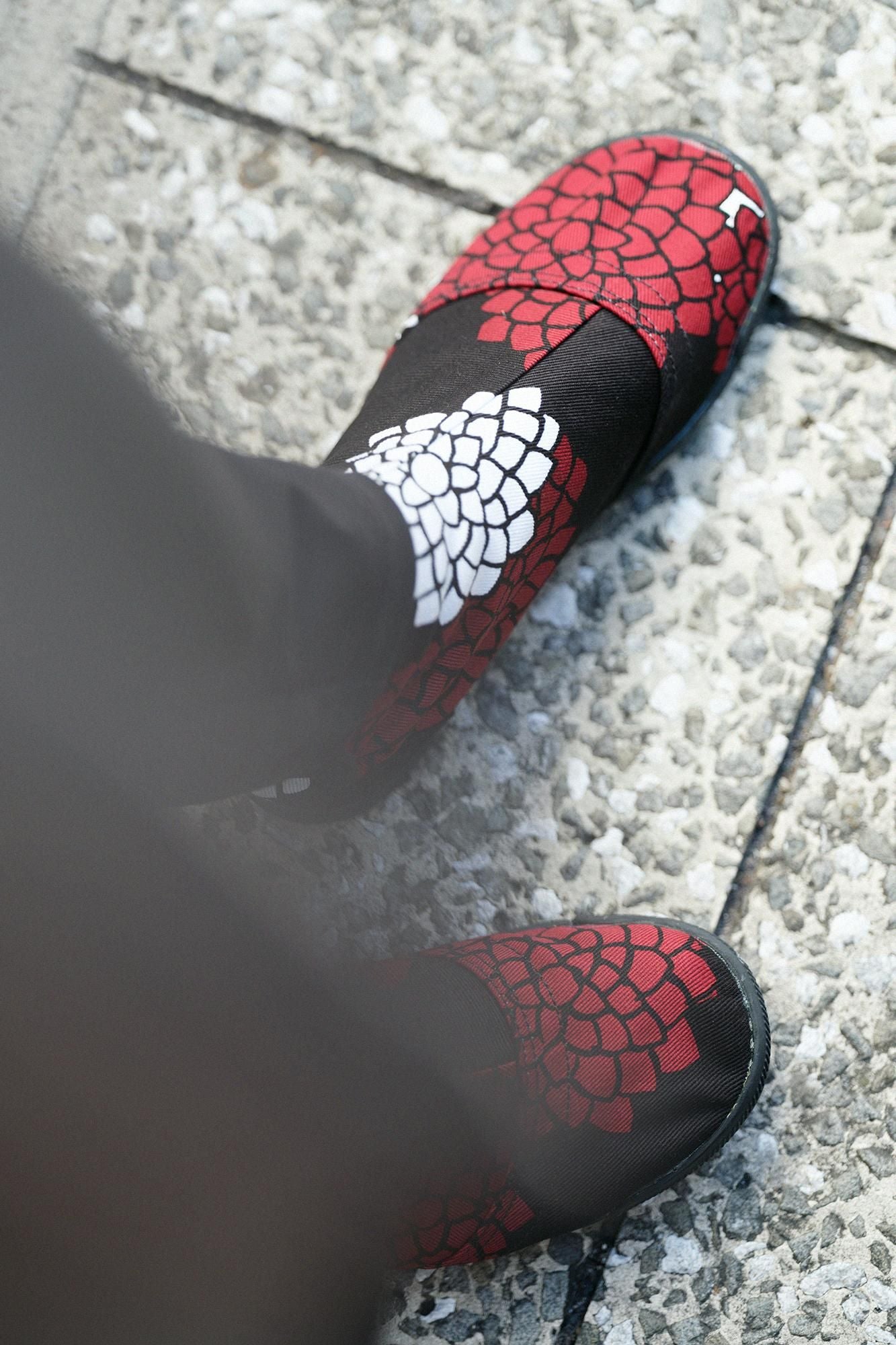 云之间的5条圆形的塔布袜/菊花