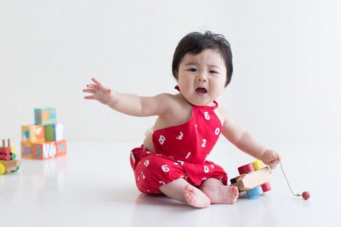 ●[Geschenkbox im Lieferumfang enthalten] Kintaro-Set/Sosou Beniiro