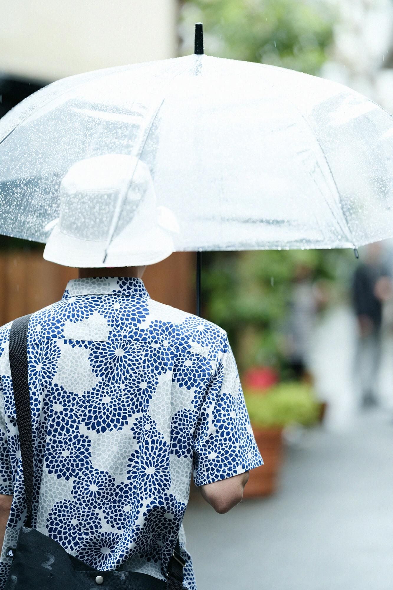 【net limited】Chizimi Cotton 20/20 Short Sleeve Shirt / Chrysanthemum Seifu