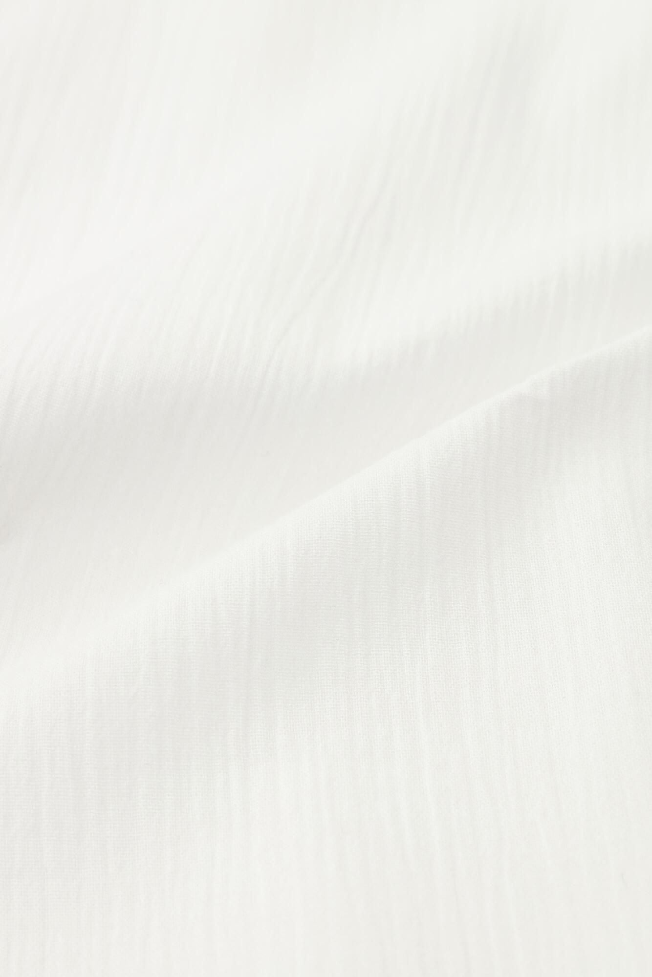 Takashima Chiku 20/20支架领子衬衫SP/Tsukumo