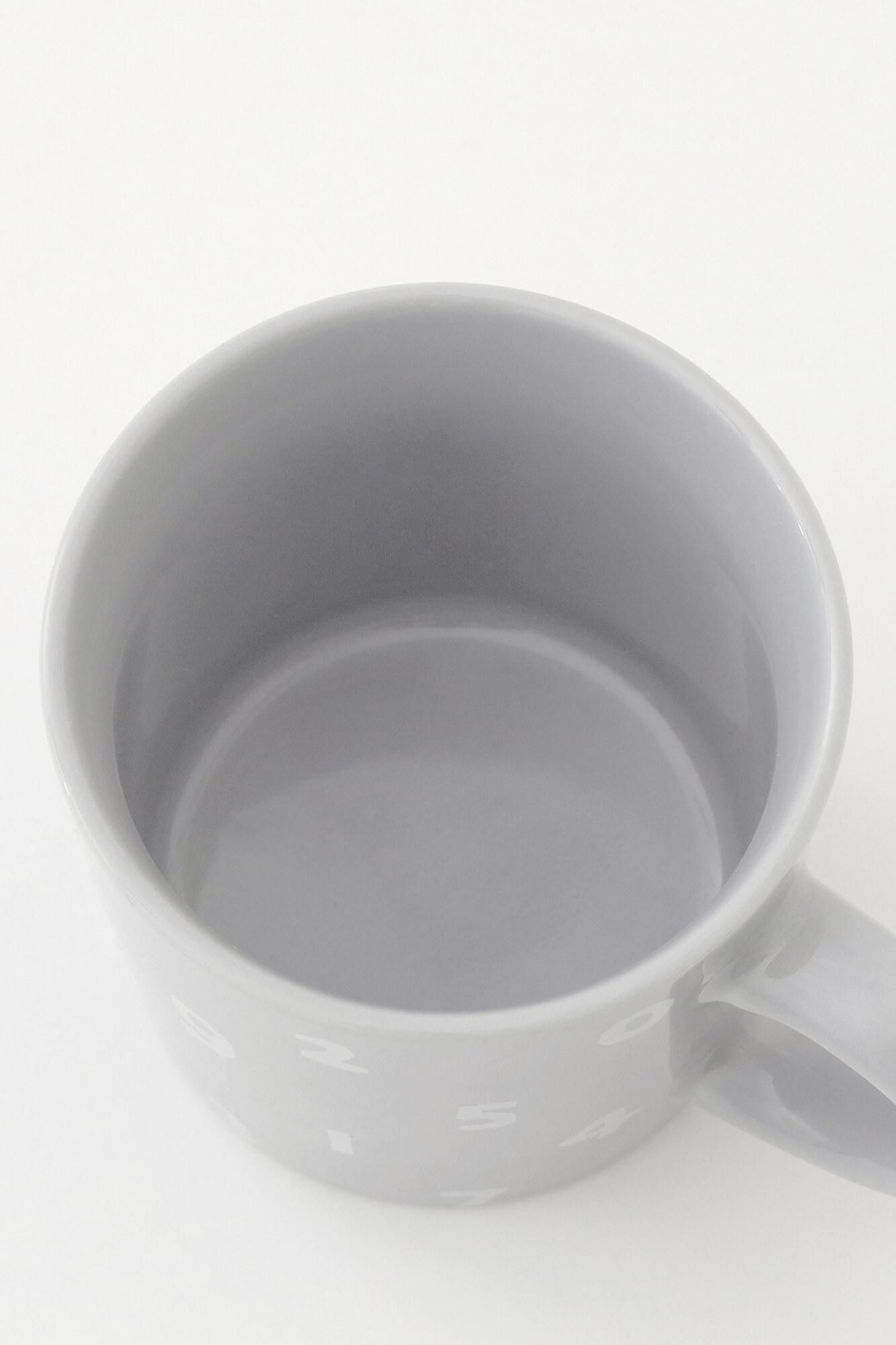 Mino Ware So-Su-U Mug / Gray
