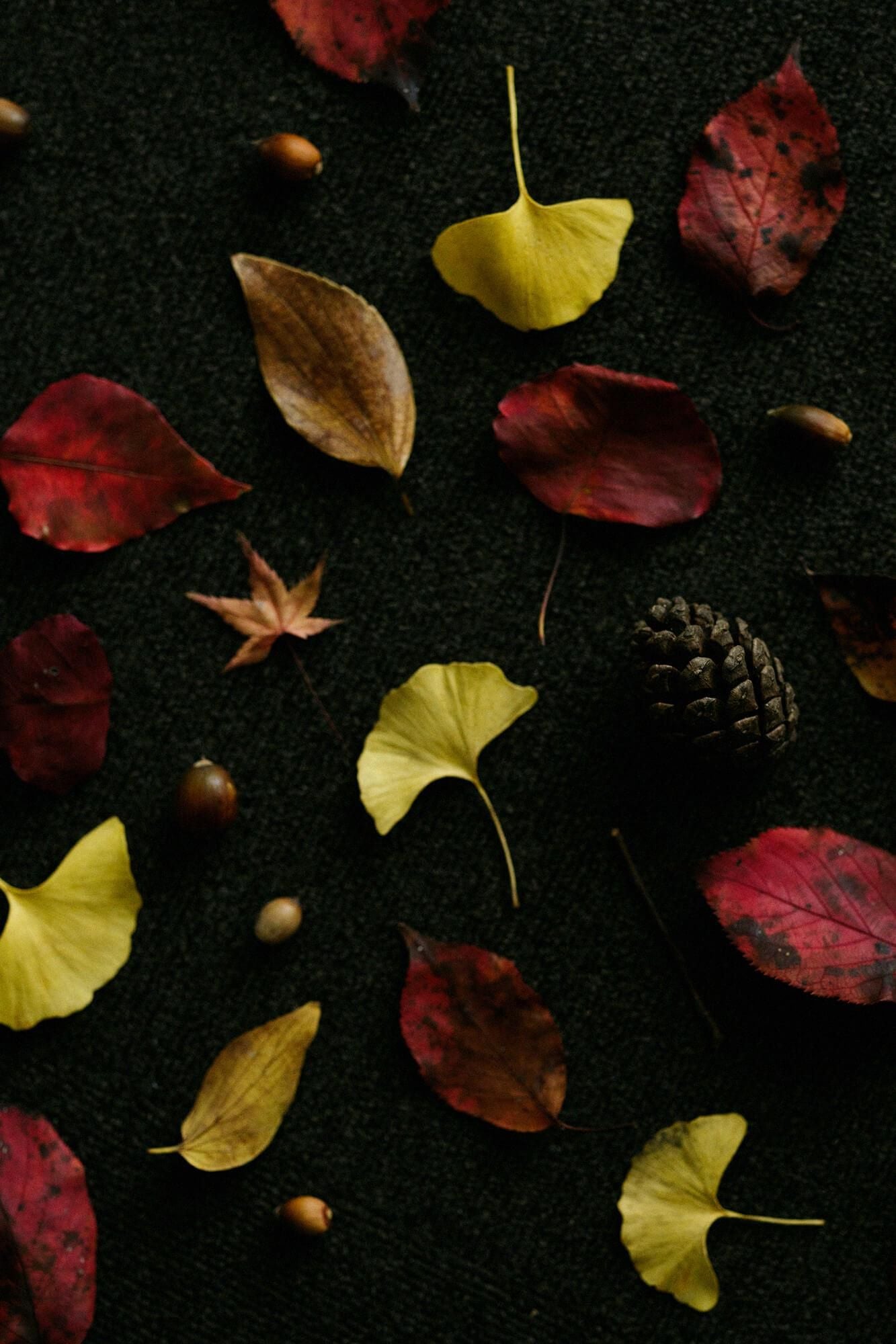 ISE Cotton Textile Tenugui / Maple Ivy Yellow (Makijitsutakibamu)