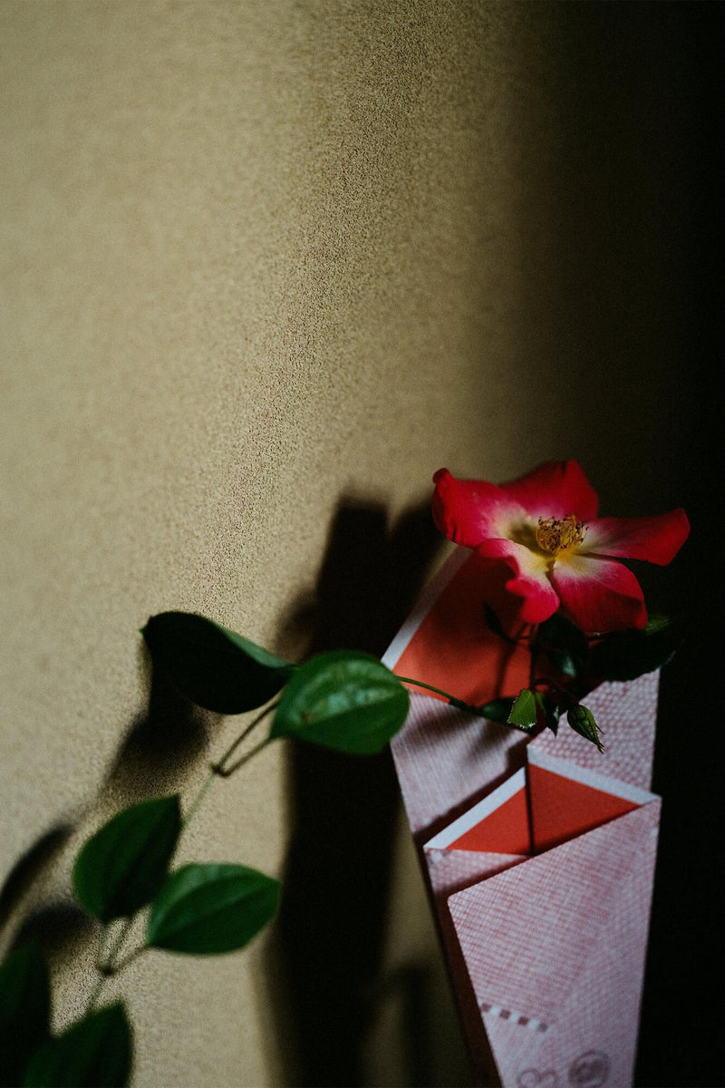 Supervised by Kyoto Hanatsutsumi Society SOU・SOUHanatsutsumi