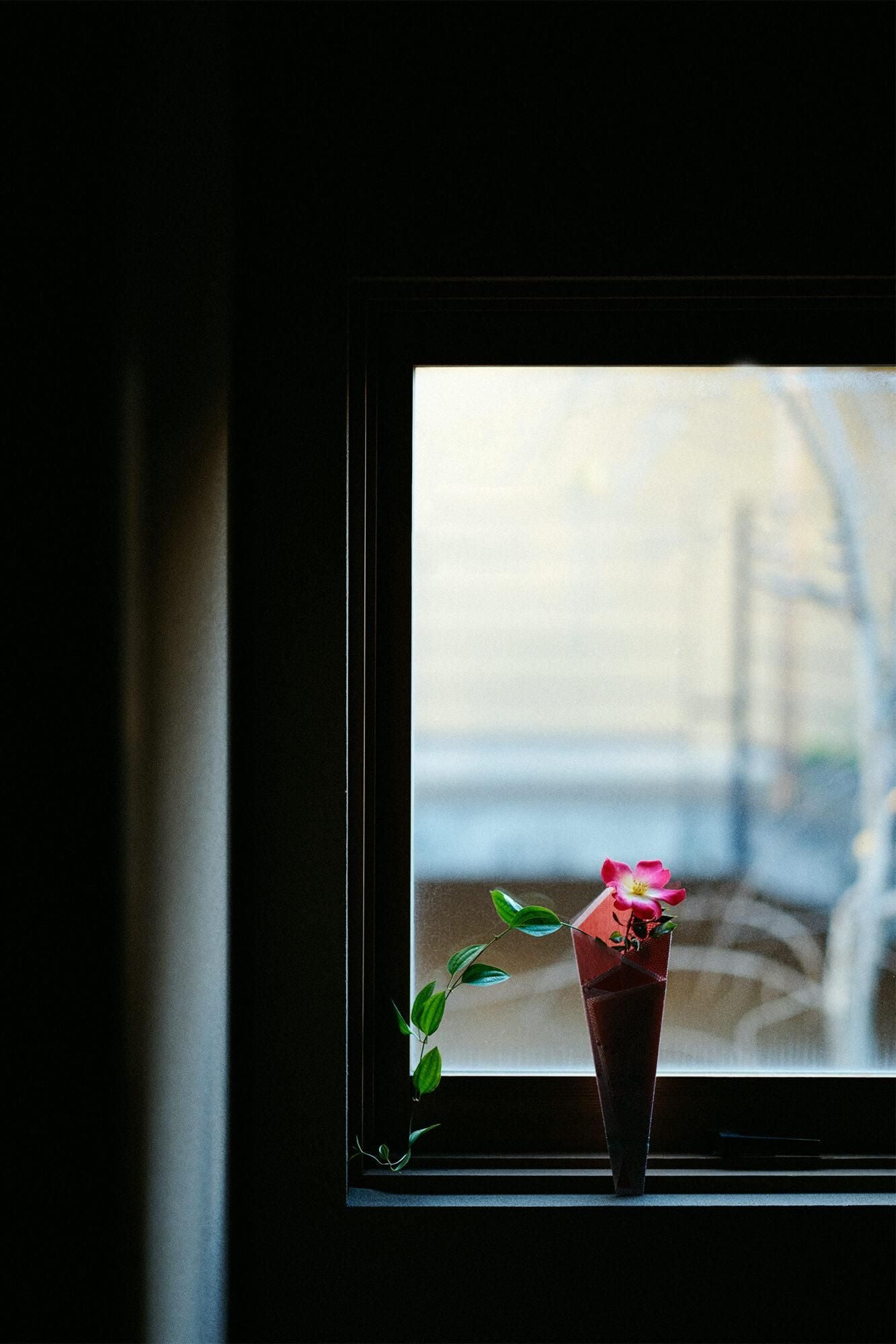 由京都哈纳博研究协会监督 SOU・SOUHanatsumi/空间