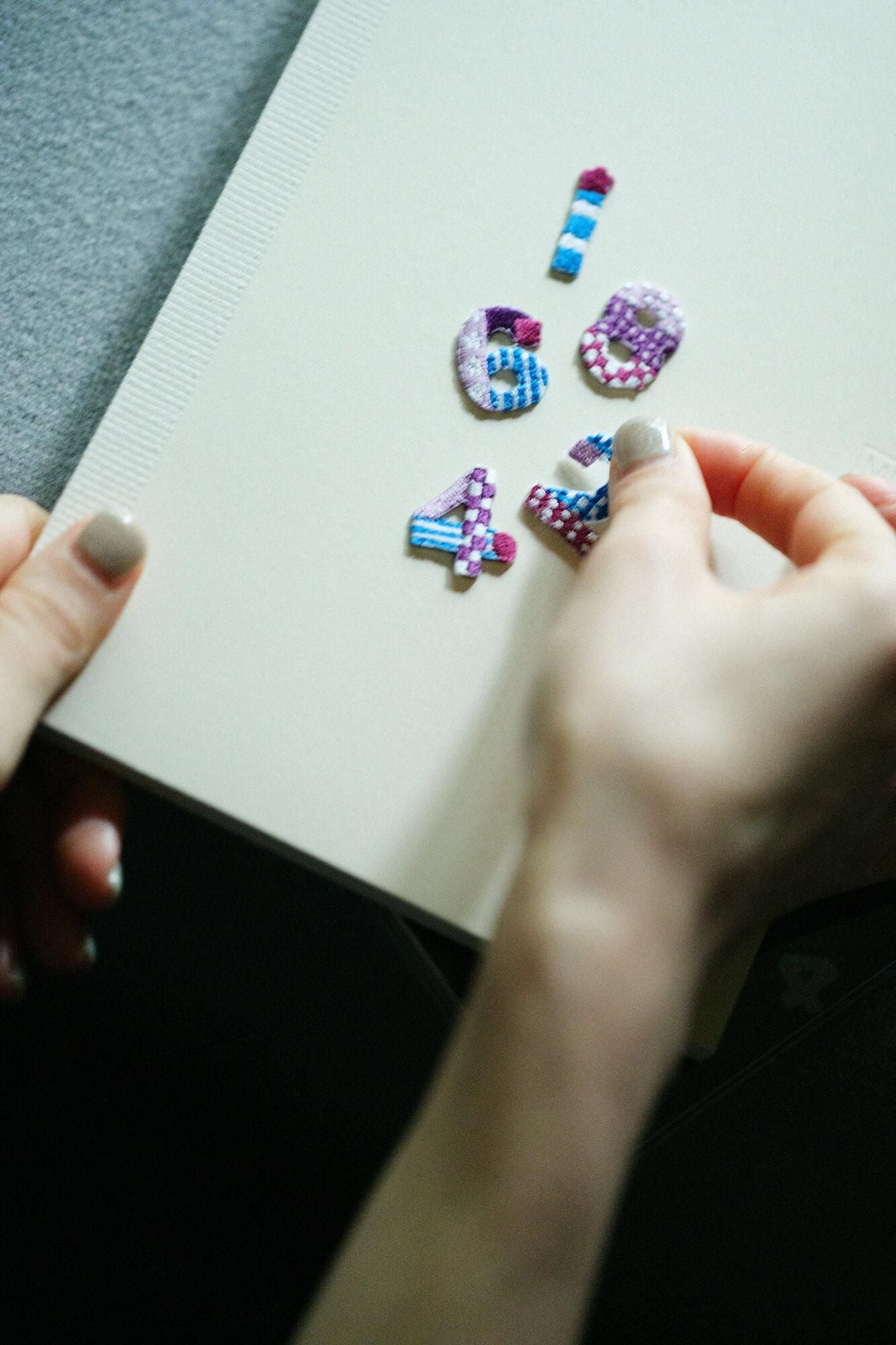 【With Premium】SOU・SOU 20th anniv. Embroidery Sticker